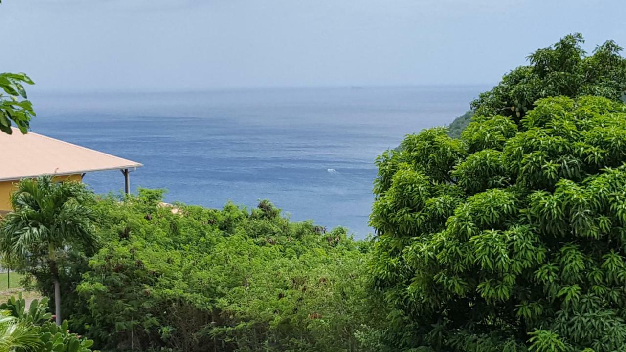 Апартаменты La Yole Des Caraibes Лез-Анс-д'Арле Экстерьер фото