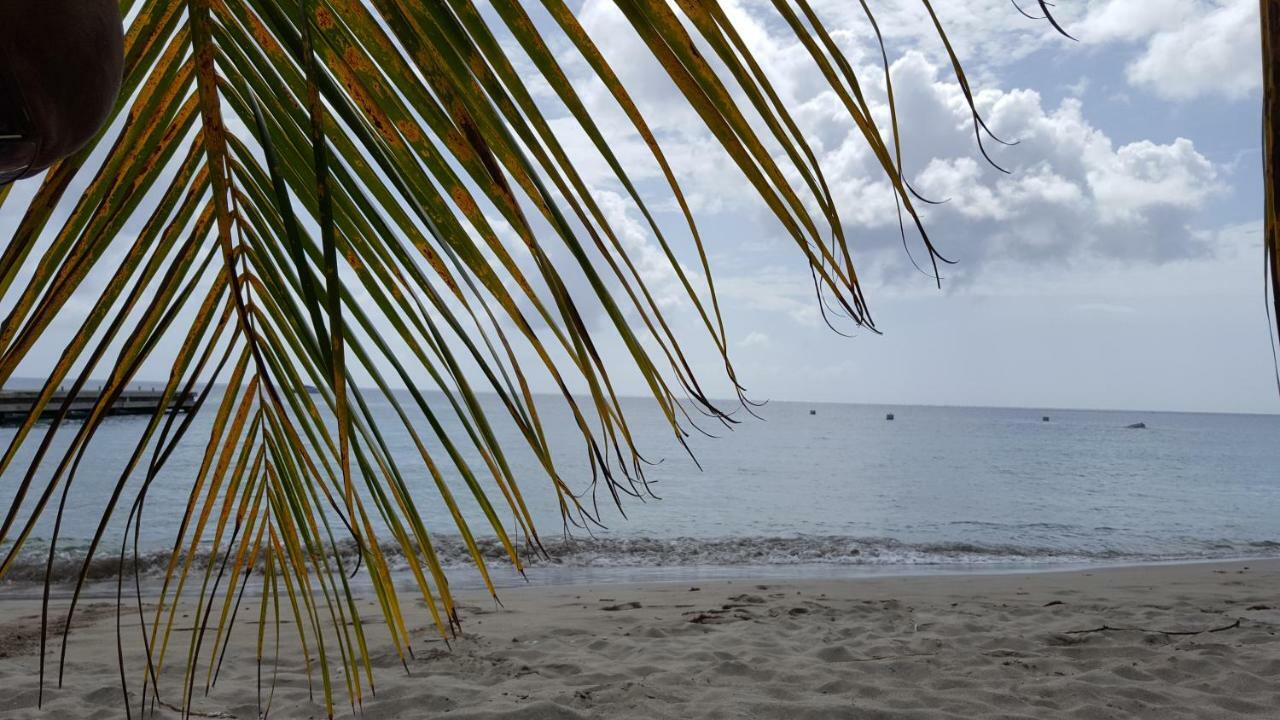 Апартаменты La Yole Des Caraibes Лез-Анс-д'Арле Экстерьер фото